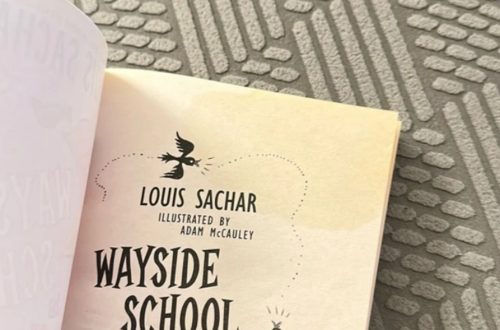 Louis Sachar Fan Mail Address