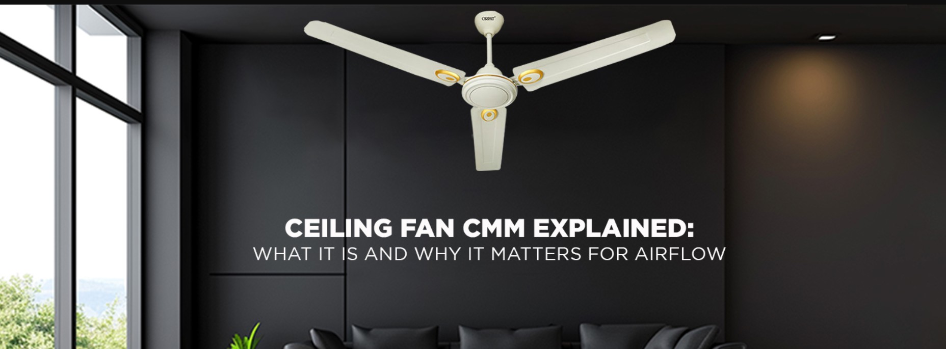 Odeal Fan Mail Address