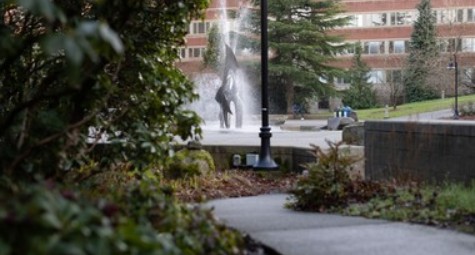 Rhea Sandstrom Fan Mail Address