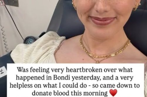 Bella Messina Fan Mail Address