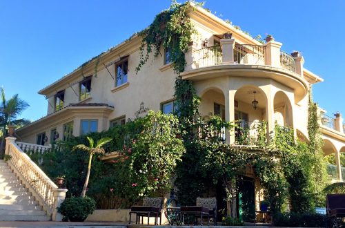 Eileen Davidson Fan Mail Address