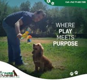 Knine K Fan Mail Address